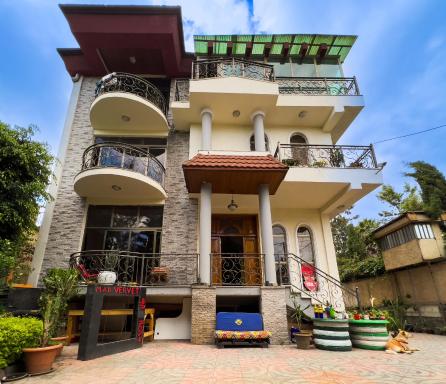 Mad Vervet Backpackers Hostel - Housity