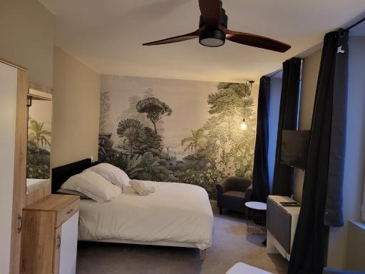 Ainay/centre Lyon/un cocon ! - Housity