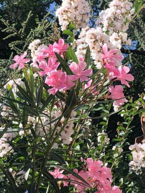 R&B MiDora - Housity