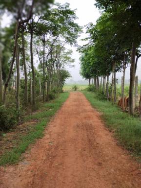 SNS Organic Farm Stay - Housity