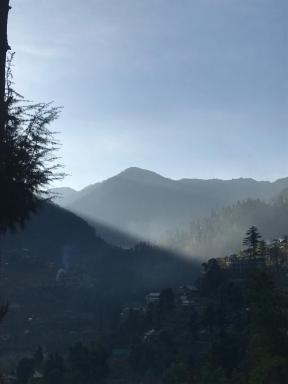 Jibhi Mountain Retreat - Housity