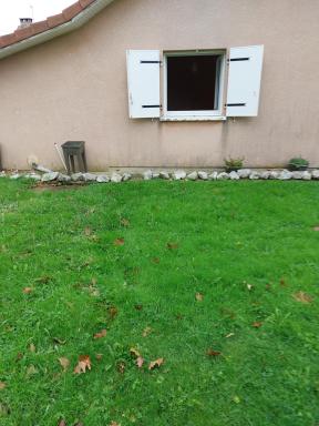 Grande maison sur 2000m° de terrain - Housity