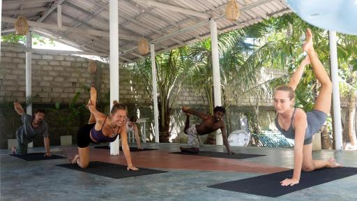 Salty Garden - Housity