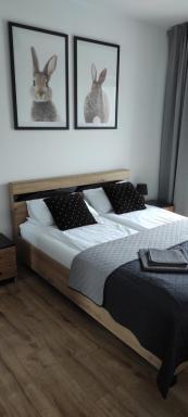 Apartamenty 77 - Hizvo