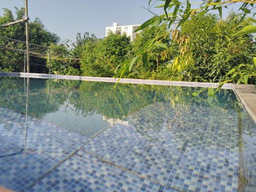 Private room in Retreat by Walias Farm Stay - Housity