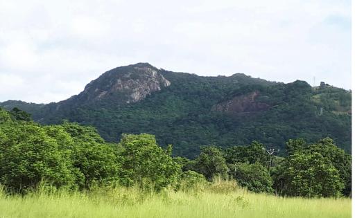 Glamping at Mirimbi - Housity