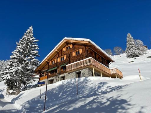 Sunnehuesli - Housity