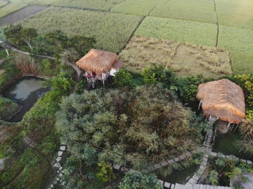 Paddy Shed - Housity