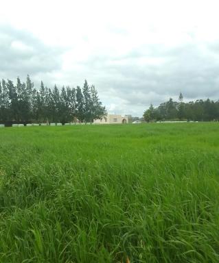 CASA DE LULA - Housity