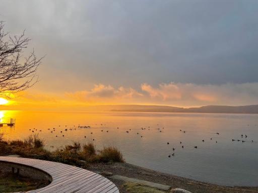 Ferienwohnung zum Weinberg mit großer Sonnenterrasse - Housity