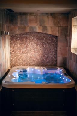 Apartmán-Hotel Jítravský Dvorec - Housity