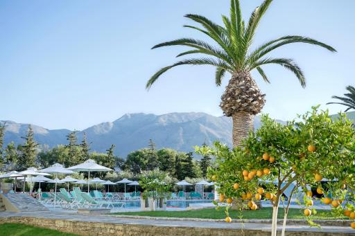Vardis Olive Garden - Housity