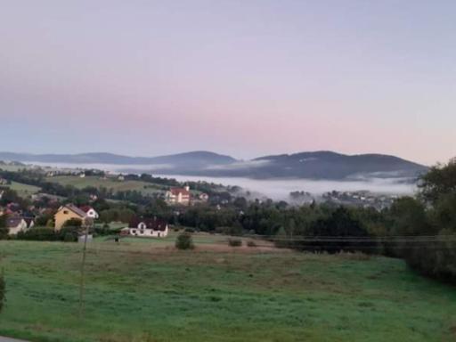 POD RÓŻĄ - Housity