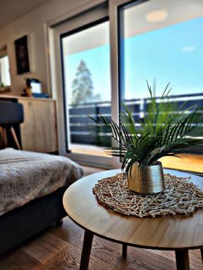 Lions Place Premium Apartments EXECUTIVE Luxus PENTHOUSE inklusive SPA - Housity