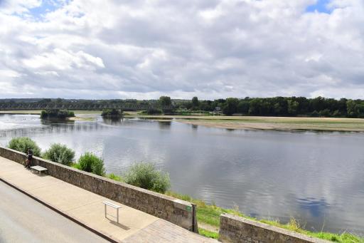 Les sternes de st Mathurin sur Loire , vue Loire - Housity
