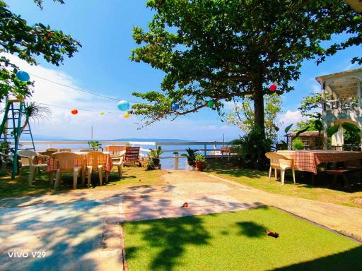 Rene's Diverslounge Resort - Housity