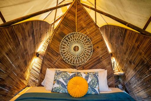 Jungle Gayborhood - LGBTQ Boutique Hotel and Retreat - Housity