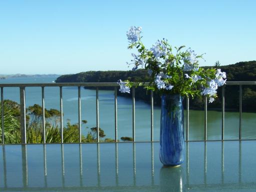 Pipiroa Bay Homestay - Housity