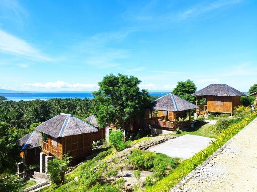 Loony Cafe & Guesthouse - Housity
