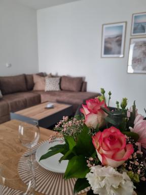 Glückauf - Gemütliche Ferienwohnung nahe Steinhude - Housity