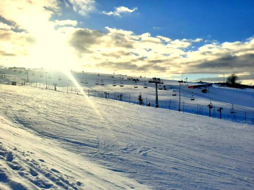 Kosciuszko Apartment - Housity