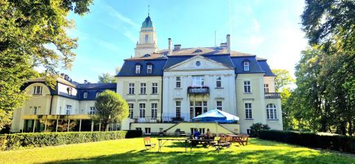 Pałac Borowa - Housity