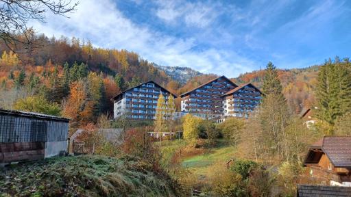 dachstein view - Housity
