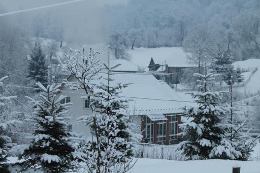 Holiday home Usadba Novoselitsa - Housity