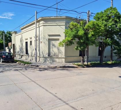 Lechuza Bolivar - Housity