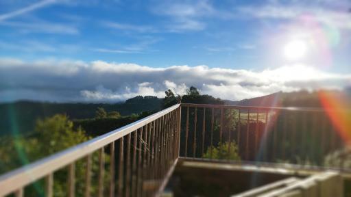 Finca pajaritos - Housity