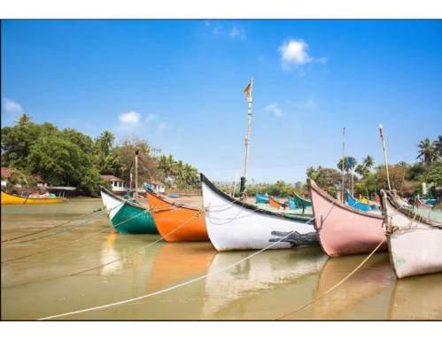 Bello Guest House, Baga, Goa - Housity