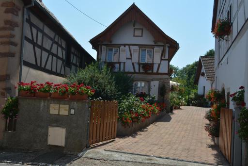 Location Alice - Housity