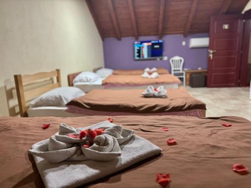 Motel Atika - Housity