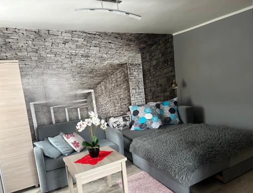 Apartament Górska 8 - blisko centrum - Housity