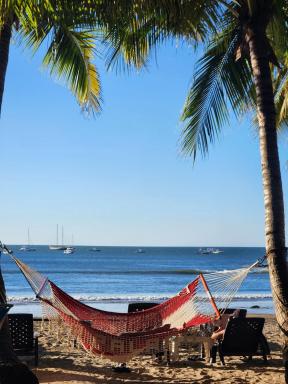 Hotel La Palapa - Housity