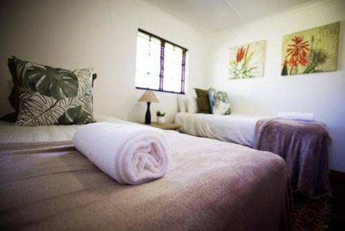 Duiker Cottage - Housity
