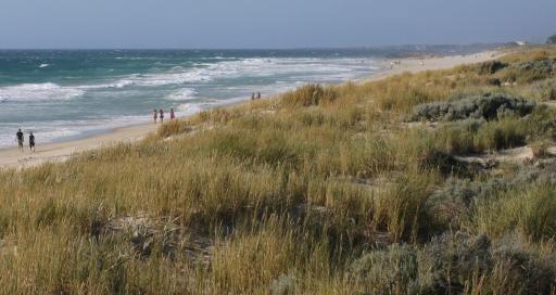 Beachfront Scarborough & Absolutely Beachfront - Housity