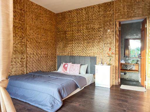 Paddies Homestay New - Housity
