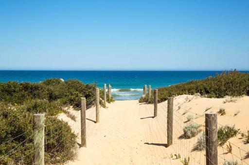 Black Swan Motor Inn - Housity