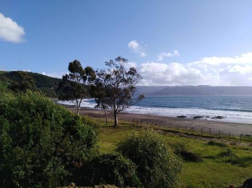Cabaña a metros de la playa San Ignacio, Niebla - Housity