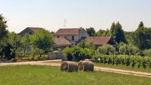 Il giuggiolo - Housity