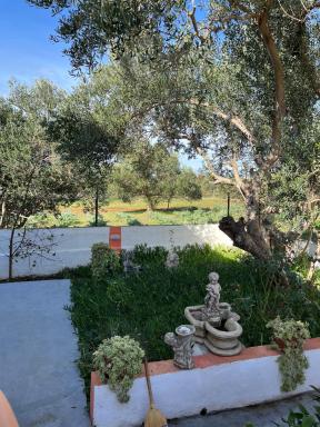 Guest house Ella - Housity