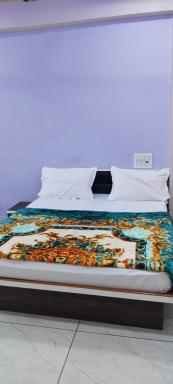 HOTEL DIAMOND GEST HOUSE - Housity