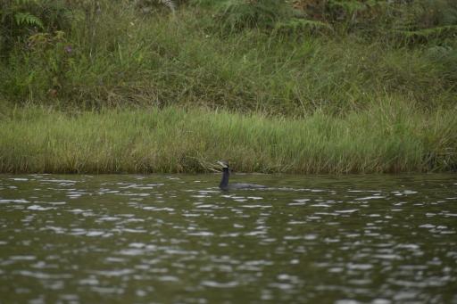 Finca el Manantial Isnos, habitación Alas de Chocolate - Housity