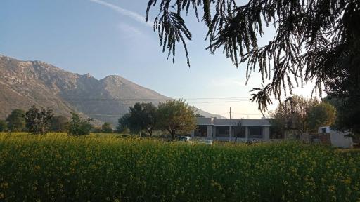 Sariska Nature Estate - Housity