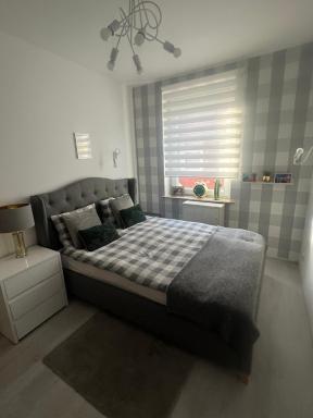 Apartament Kaktus Opole - Housity