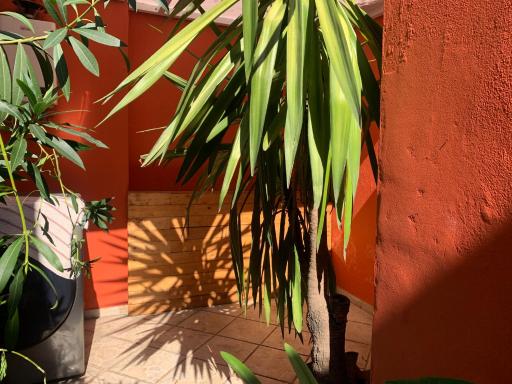 Villa Coyoacan - Housity