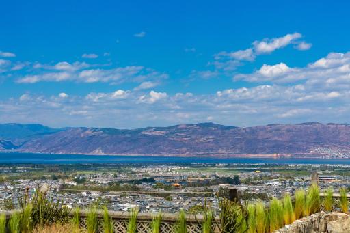 Dali Ink Inn - Housity