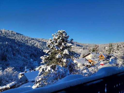 Große Ferienwohnung in ruhiger Lage mit toller Aussicht in Triberg - Housity