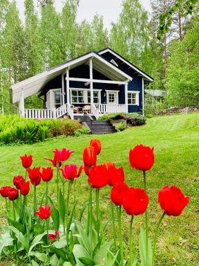 Blueberry Villa at Saimaa Lakeside - Housity